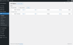 Page screenshot: Responsive Slider