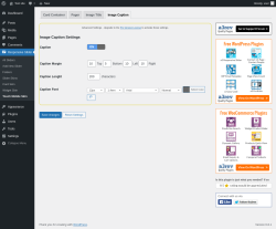 Page screenshot: Responsive Slider &rarr; Touch Mobile Skin &rarr; Image Caption