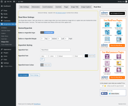 Page screenshot: Responsive Slider &rarr; Widget Skin &rarr; Read More
