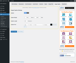 Page screenshot: Responsive Slider &rarr; Card Skin &rarr; Image Caption