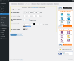 Page screenshot: Responsive Slider &rarr; Widget Skin &rarr; Card Container