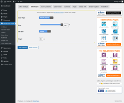 Page screenshot: Responsive Slider &rarr; Card Skin &rarr; Dimensions