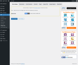 Page screenshot: Responsive Slider &rarr; Widget Skin