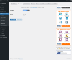 Page screenshot: Responsive Slider &rarr; Widget Skin &rarr; Dimensions