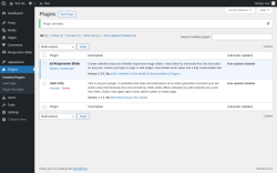 Page screenshot: Plugins &lsaquo; Test site &mdash; WordPress