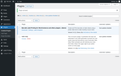 Page screenshot: Plugins ‹ Test site — WordPress