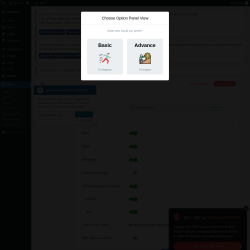 Page screenshot: AMP &rarr; Settings
