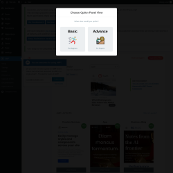 Page screenshot: AMP &rarr; Design