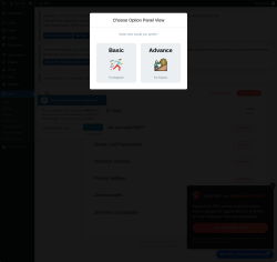 Page screenshot: Accelerated Mobile Pages Options &lsaquo; Test site &mdash; WordPress