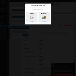 Page screenshot: AMP &rarr; Settings