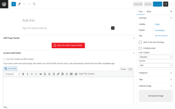 Page screenshot: Add New Post &lsaquo; Test site &mdash; WordPress