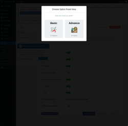 Page screenshot: AMP &rarr; Settings