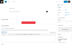 Page screenshot: Add New Page &lsaquo; Test site &mdash; WordPress
