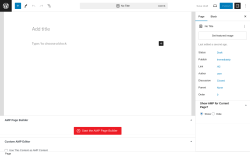 Page screenshot: Add New Page &lsaquo; Test site &mdash; WordPress