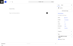 Page screenshot: Add Post &lsaquo; Test site &mdash; WordPress