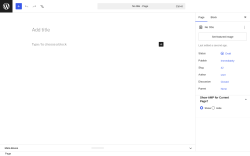 Page screenshot: Add Page &lsaquo; Test site &mdash; WordPress