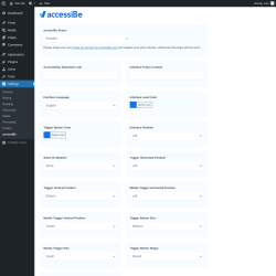 Page screenshot: Settings &rarr; accessiBe