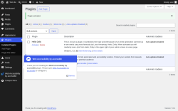 Page screenshot: Plugins &lsaquo; Test site &mdash; WordPress