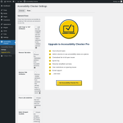Page screenshot: Accessibility Checker → Settings → Fixes