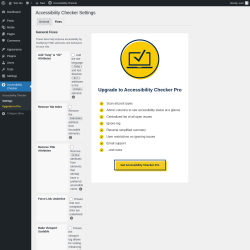 Page screenshot: Accessibility Checker → Settings → Fixes