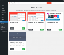 Page screenshot: Accordions &rarr; Oxilab Plugins