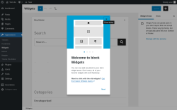 Page screenshot: Widgets &lsaquo; Test site &mdash; WordPress