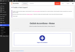Page screenshot: Accordions