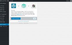 Page screenshot: Acf Blocks Dashboard ‹ Test site — WordPress