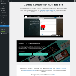 Page screenshot: ACF Blocks
