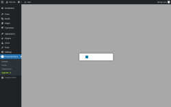 Page screenshot: Frontend Admin → Upgrade  ➤