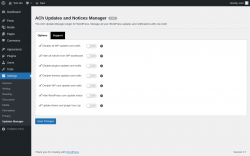 Page screenshot: Settings → Updates Manager