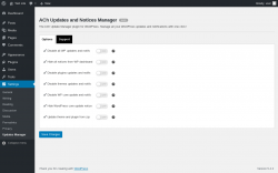 Page screenshot: Settings → Updates Manager