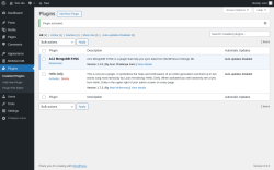 Page screenshot: Plugins &lsaquo; Test site &mdash; WordPress