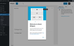 Page screenshot: Widgets &lsaquo; Test site &mdash; WordPress