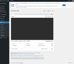 Page screenshot: Settings &rarr; Ad Inserter