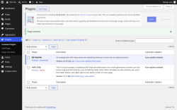 Page screenshot: Plugins &lsaquo; Test site &mdash; WordPress