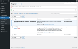 Page screenshot: Plugins ‹ Test site — WordPress