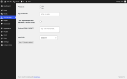 Page screenshot: Tag Manager