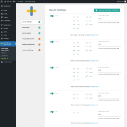Page screenshot: AEH Speed Optimization