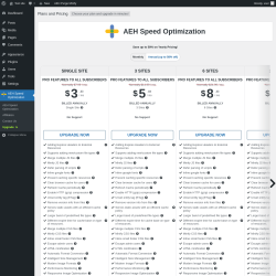 Page screenshot: AEH Speed Optimization &rarr; Upgrade&nbsp;&nbsp;➤