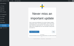 Page screenshot: AEH Speed Optimization &lsaquo; Test site &mdash; WordPress