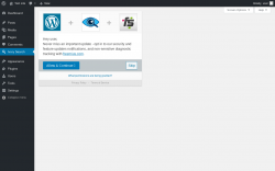 Page screenshot: Ivory Search &lsaquo; Test site &mdash; WordPress