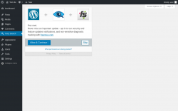 Page screenshot: Ivory Search &lsaquo; Test site &mdash; WordPress