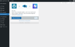 Page screenshot: Ivory Search &lsaquo; Test site &mdash; WordPress