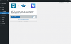 Page screenshot: Ivory Search &lsaquo; Test site &mdash; WordPress