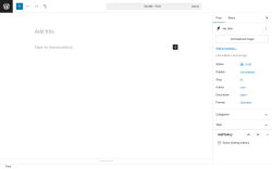 Page screenshot: Add Post ‹ Test site — WordPress
