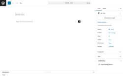 Page screenshot: Add Post &lsaquo; Test site &mdash; WordPress