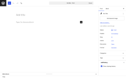 Page screenshot: Add Post &lsaquo; Test site &mdash; WordPress