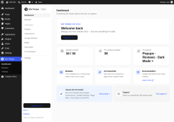 Page screenshot: Divi Torque