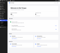 Page screenshot: Divi Torque